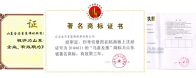 金马首荣誉展示